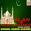 Nooor-E-Muhammed Shahe