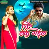 About Dil Leke Gail Song