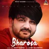 About Bharosa Song