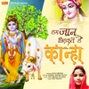About Hum Jaan Chidhakte Hain Kanha Song