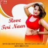 About Rove Teri Naar Song