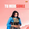 About Tu Meri Sunle Song