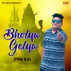 About Bhole Gelya Pini Sai Song
