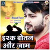 About Ishq Botal Aur Jaam Song