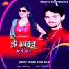 About Ho Jaibu Gori Hit Song