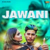 About Jawani Song