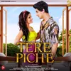 About Tere Piche Song