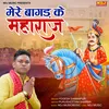 About Mere Bagad Ke Maharaj Song