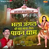 About Bhala Jungal Ke Mha Bana Tera Pawan Dham Song