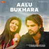 About Aalu Bukhara Song