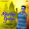 Bholya Gelya Pini Sai