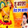 About Tu Barsa Tera Rang Barsa Song