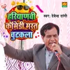 About Haryanvi Comedy Mast Chutkula Song