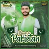 About Payara Pakistan Song