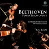 Trio n°3, Op. 1: I. Allegro con brio