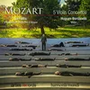 Violin Concerto No. 2, in D Major, K. 211: I. Allegro moderato