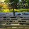 Violin Concerto No. 2, in D Major, K. 211: II. Andante