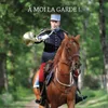 About La cavalerie de la garde Song