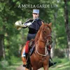 About L'appel des sous-officiers de cavalerie de la garde Song