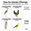 About Grande Outarde Great Bustard Song