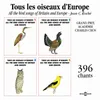 About Etourneau Sansonnet Starling Song