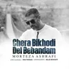 About Chera Bikhodi Del Bebandam Song