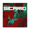 About Sicario Song