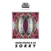 Sorry Adam Stacks Remix