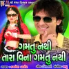 About Gamtu Nathi Tara Vina Gamtu Nathi Song