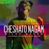 About Cheshato Nagam Song