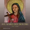 About Ave maria del dolore Song