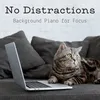 No Background Distractions