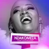 About Nzakomeza Song