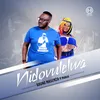 About Nidovulelwa Song