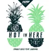 About Hot in Here Song