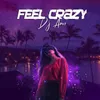 About Feel Crazy Song