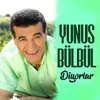 About Diyorlar Song