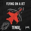 About Flying on a Jet Song