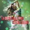 About La Copa De La Vida Song