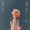 About 因为爱你 Song