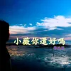 小薇你還好嗎 音樂版