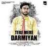 About Tere Mere Darmiyan Song