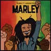 About Marley Song