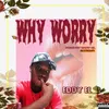 About Why Worry Song