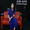 About Es Bahar Rüzgarı Song