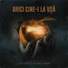 About Ghici Cine-I La Usa Song