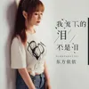 About 我流下的泪不是泪 Song