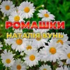 About Нас весна зачарувала Song