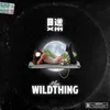 About Wild Thing Song