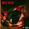 About Wildin' Song